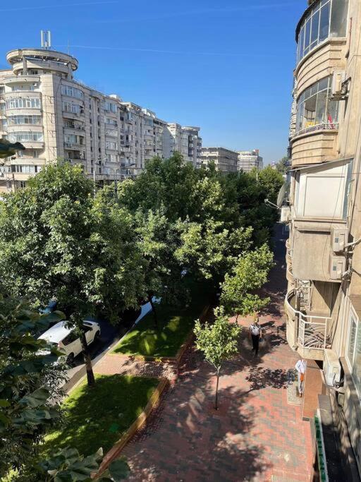 Apartment 3 In The Center Of Bucharest